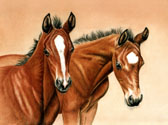 Mares and Foals, Equine Art - Half Brothers